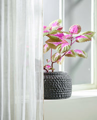 AOBA pot, M, cement - grey