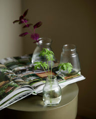 JURA vase - clear