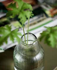 JURA vase - clear