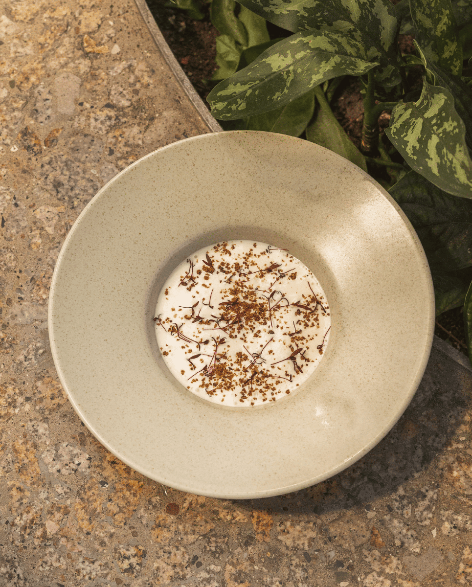 GRAWA pasta plate - ivory