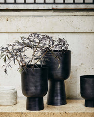 GALOA planter, M - anthracite